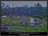 dscf1013_1_2_tonemapped-grunge-low
