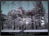img_1276-e1