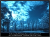 img_2562-edit