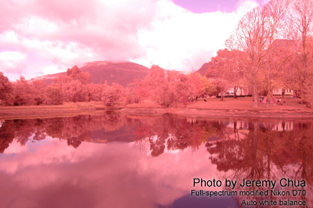 Photography with a full-spectrum modified digital camera.