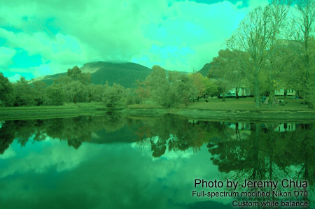 Photography with a full-spectrum modified digital camera.