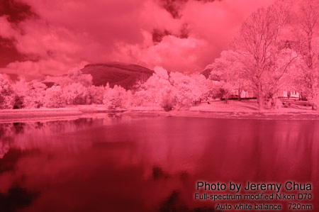 Photography with a full-spectrum modified digital camera.