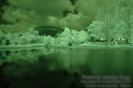 Photography with a full-spectrum modified digital camera.