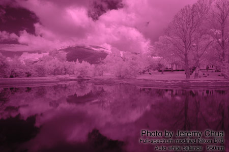 Photography with a full-spectrum modified digital camera.