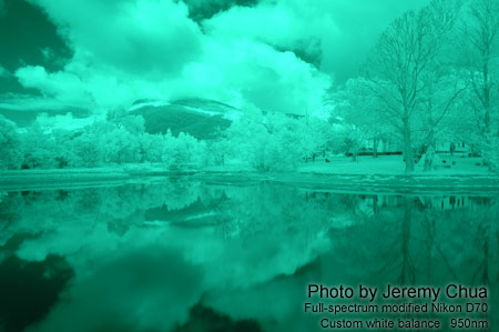 Photography with a full-spectrum modified digital camera.