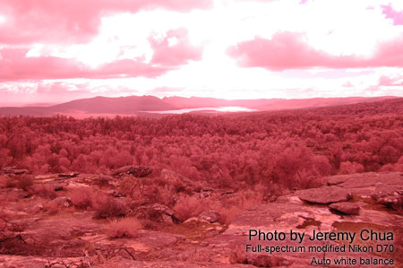 Photography with a full-spectrum modified digital camera.