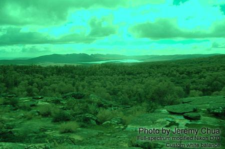 Photography with a full-spectrum modified digital camera.