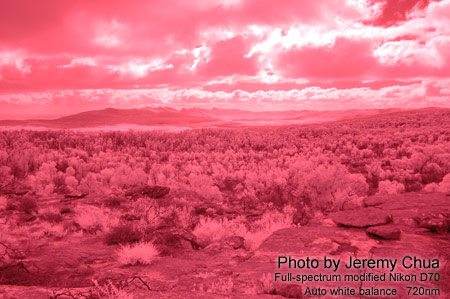 Photography with a full-spectrum modified digital camera.