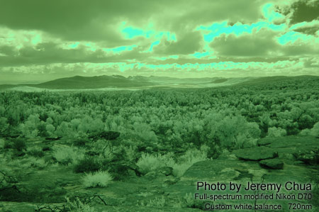 Photography with a full-spectrum modified digital camera.