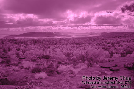 Photography with a full-spectrum modified digital camera.