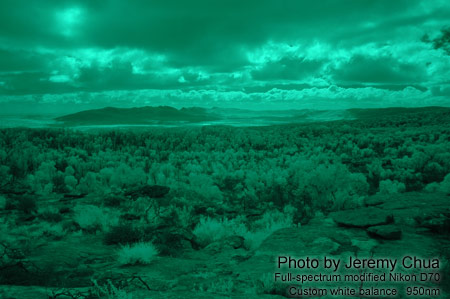 Photography with a full-spectrum modified digital camera.