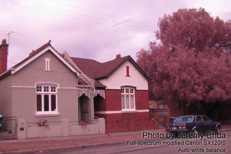 Full-spectrum image with a full-spectrum modified digital camera.