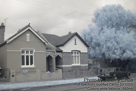 Infrared image with a full-spectrum modified digital camera.