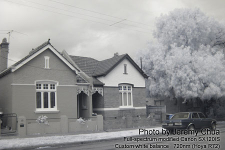 Infrared image with a full-spectrum modified digital camera.