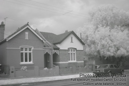 Infrared image with a full-spectrum modified digital camera.